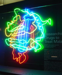 Neon Lights Acquisition