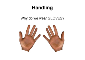 Object Awareness Training PowerPoint Object Awareness Training PowerPoint
