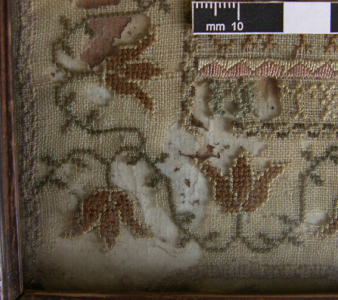 Pest Infestation in Sampler Pest Infestation In Sampler