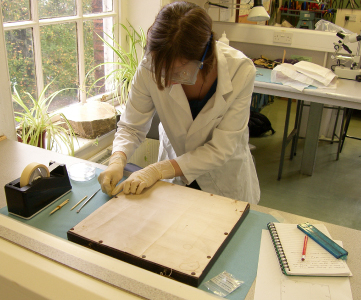 Dismantling Sampler Dismantling Sampler