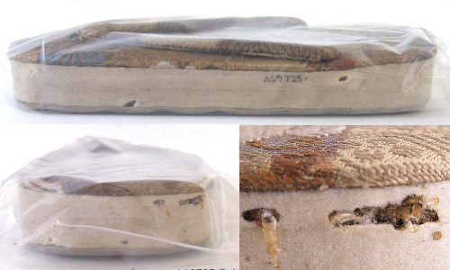 Japanese Slipper Before Treatment Japanese Slipper Before Treatment