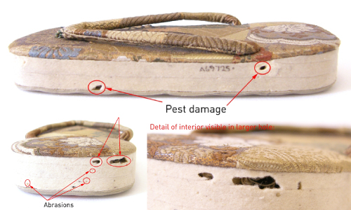 Japanese Slipper During Treatment Japanese Slipper During Treatment