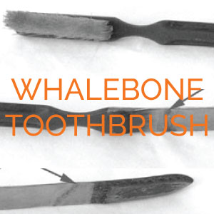 Whalebone Toothbrush